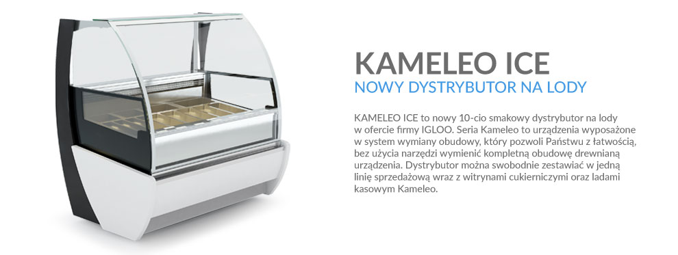 Dystrybutor do lodów gałkowych Kameleo ICE